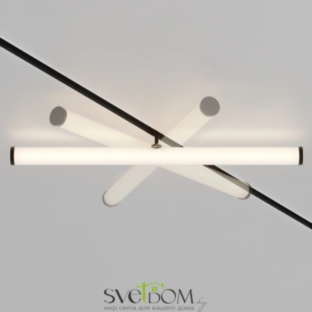 TR086-2-25W3K-B Maytoni