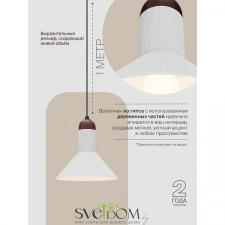 Подвесные светильники  LPL-004GR от Магазина Svetdom.by