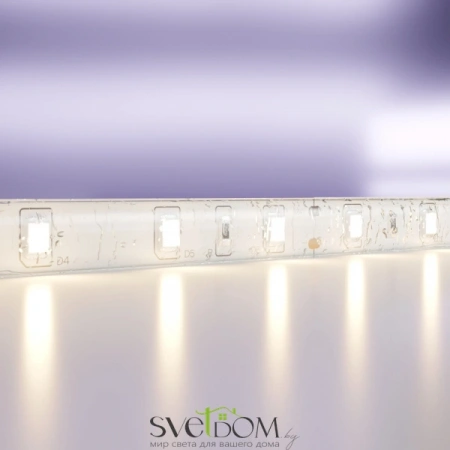 Светодиодная лента 24В 2835 4,8Вт/м 3000K 5м IP65 10139