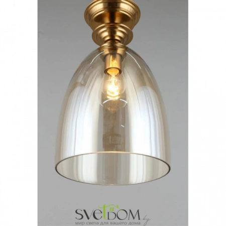 Подвесные светильники Aployt APL.602.06.01 от Магазина Svetdom.by