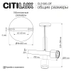 Потолочный светильник Citilux VEKTOR CL51320_BF CITILUX