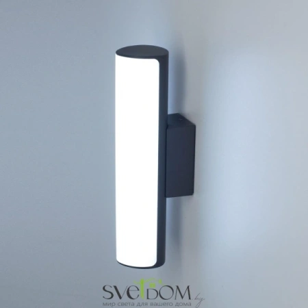 Citilux CLU0007 LED Уличный светильник Графит CITILUX