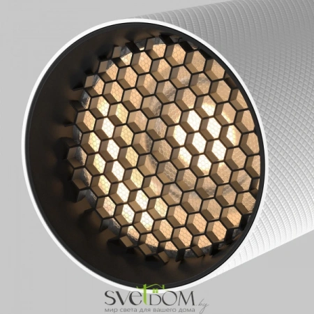 TR097-2-12W3K-M-BW Maytoni