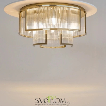 Потолочные светильники Maytoni MOD174CL-06G от Магазина Svetdom.by