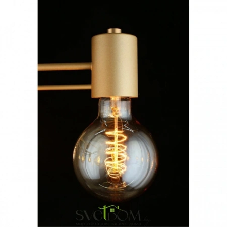 Люстры потолочныеAPL.911.07.09 Aployt | Svetdom.by