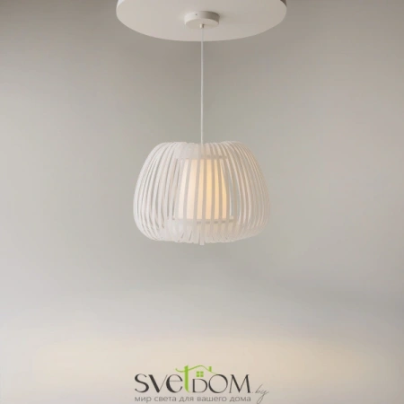 Подвесные светильники Maytoni MOD409PL-01W от Магазина Svetdom.by