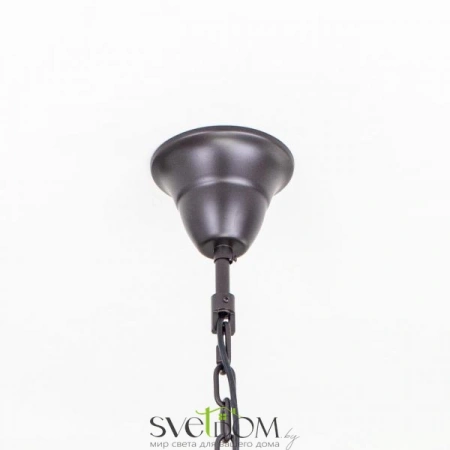 Люстры подвесныеCL332161 CITILUX | Svetdom.by