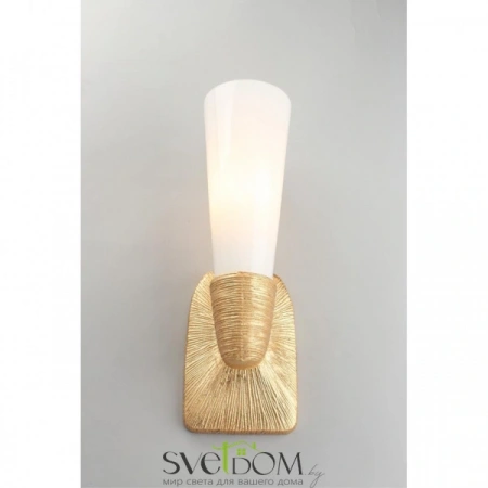 Настенные светильники APL.800.01.01 Aployt | Svetdom.by