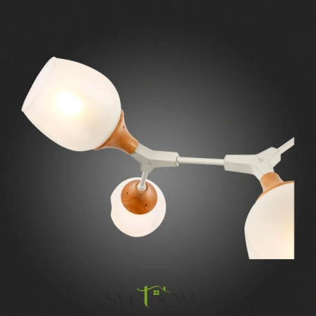 Потолочные светильники EVOLUCE SLE113502-05 от Магазина Svetdom.by