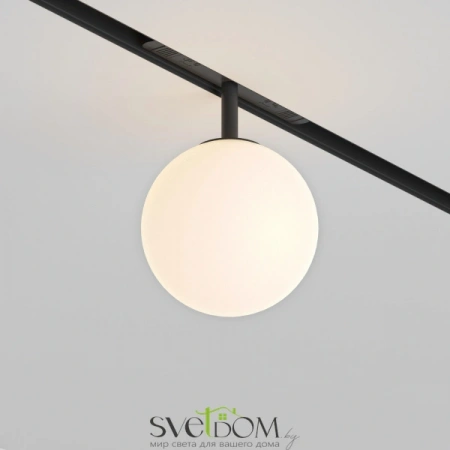 TR038-2-5W3K Maytoni