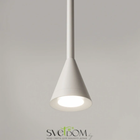 Подвесные светильники Maytoni P064PL-01W-1 от Магазина Svetdom.by