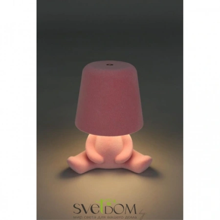 APL.677.14.01 Aployt