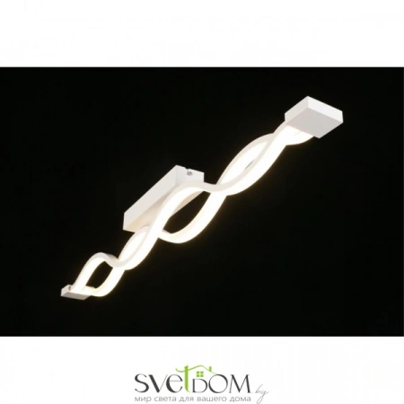 Настенно-потолочные светильники Aployt APL.002.02.36 от Магазина Svetdom.by