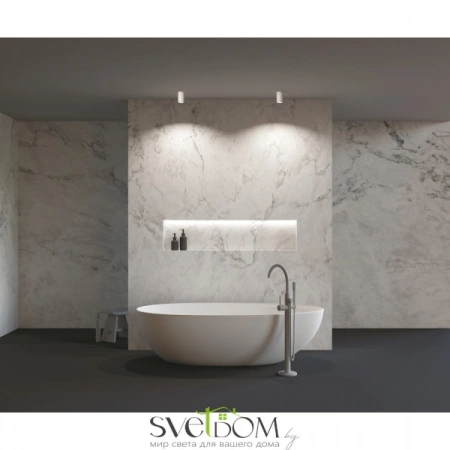 Потолочные светильники Maytoni C029CL-01-S-W от Магазина Svetdom.by