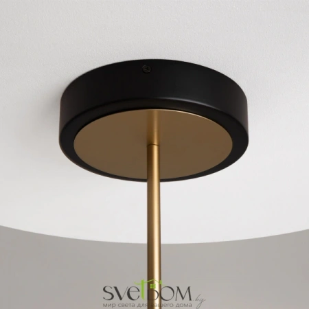 Подвесные светильники Maytoni MOD357PL-L40BS3K от Магазина Svetdom.by