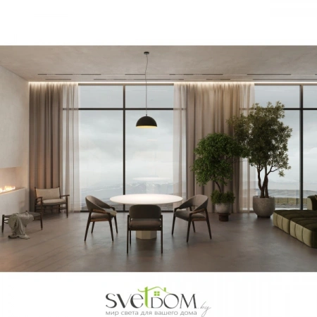 Подвесные светильники Maytoni MOD168PL-01B от Магазина Svetdom.by