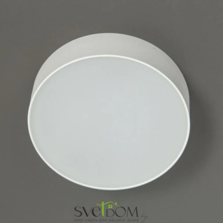 Накладные светильники CITILUX CL712120N от Магазина Svetdom.by