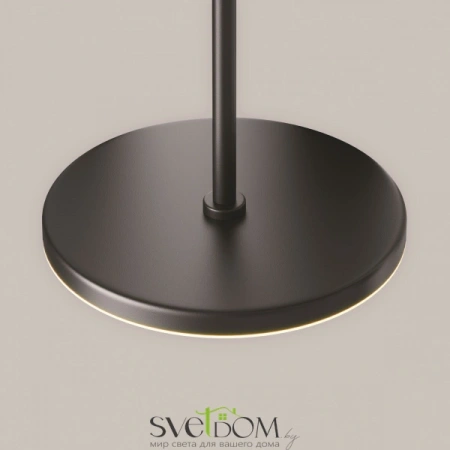 Подвесные светильники Maytoni P076PL-L12W3K-B от Магазина Svetdom.by