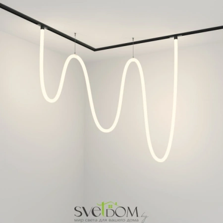 TR101-2-100W4K-B Maytoni