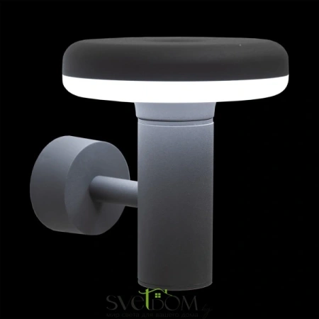 Citilux CLU01W LED Уличный настенный светильник Графит CITILUX