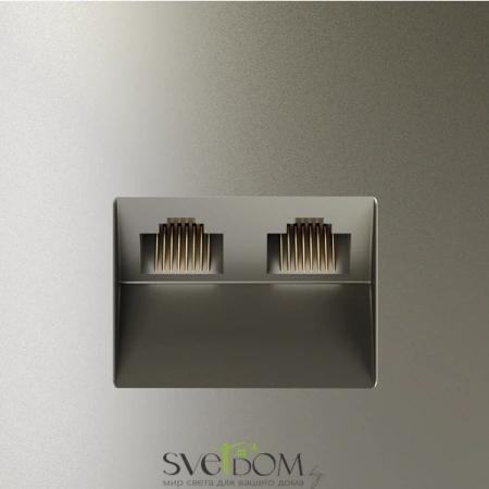 Розетка компьютерная двойная Voltum S70 VLS060204  Voltum