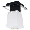 Потолочный светильник Lussole Lente LSC-2507-01 E14 Lussole