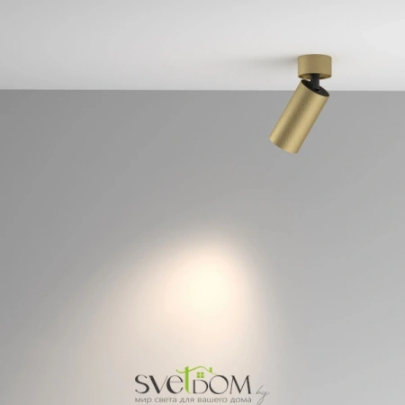 Потолочные светильники Maytoni C082CL-01-GU10-MG от Магазина Svetdom.by