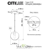 Citilux Томми CL102010 Подвесной светильник Хром CITILUX