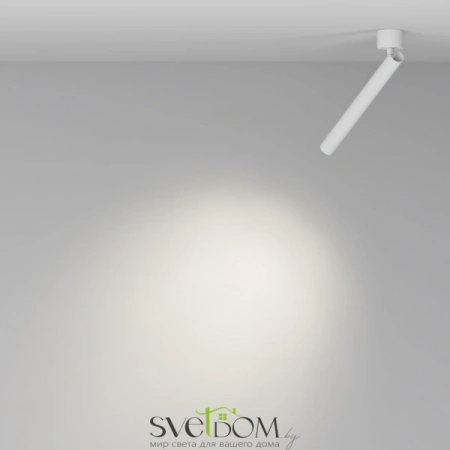 Потолочные светильники Maytoni C141CL-L300-6W4K-W от Магазина Svetdom.by