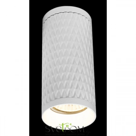 Потолочные светильники Maytoni C036CL-01W от Магазина Svetdom.by