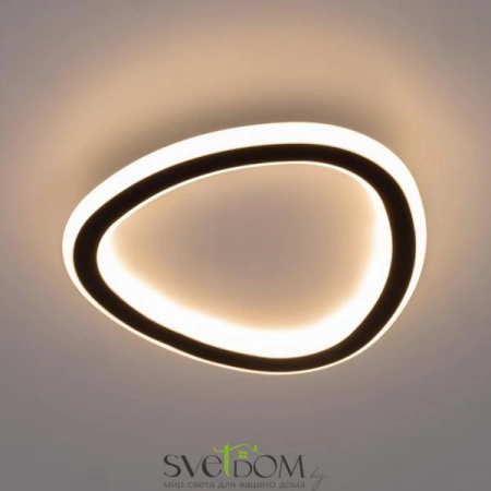 Потолочные светильники CITILUX CL215B221 от Магазина Svetdom.by