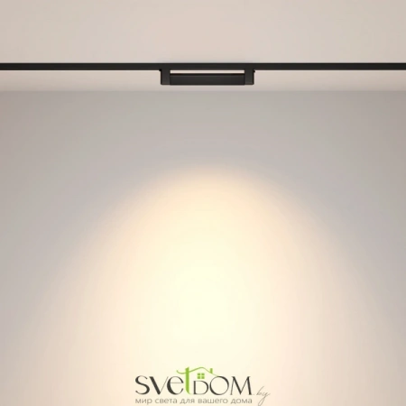 TR010-1-10W3K-M-B Maytoni