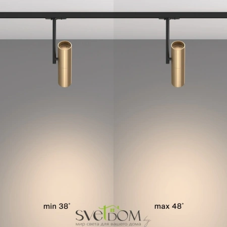 TR005-1-GU10-BG Maytoni