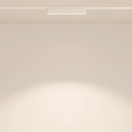 TR082-1-12W4K-M-W Maytoni