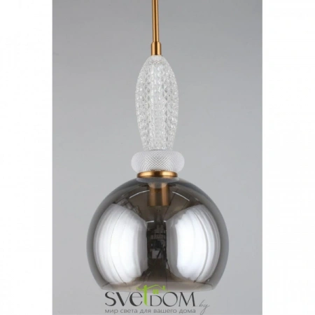 Подвесные светильники Aployt APL.304.06.01 от Магазина Svetdom.by