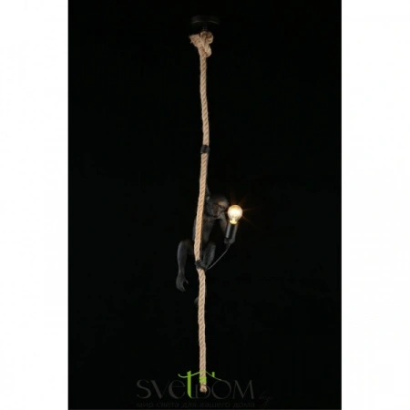 Подвесные светильники Aployt APL.309.16.01 от Магазина Svetdom.by