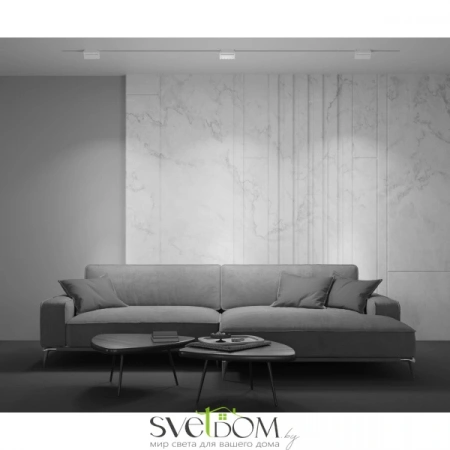 TR013-2-10W3K-W Maytoni