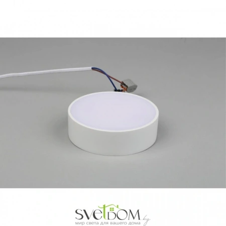 Настенно-потолочные светильники Aployt APL.0114.09.12 от Магазина Svetdom.by