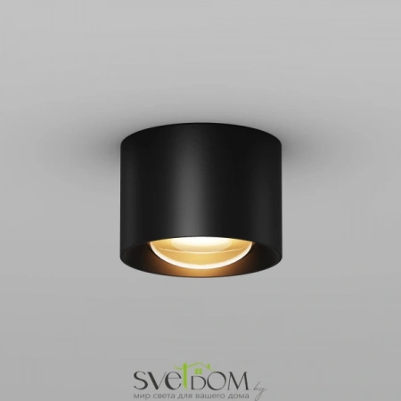 Потолочные светильники Maytoni O498CL-L7B3K от Магазина Svetdom.by