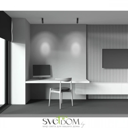 Потолочные светильники Maytoni C055CL-L12B3K-W-B от Магазина Svetdom.by