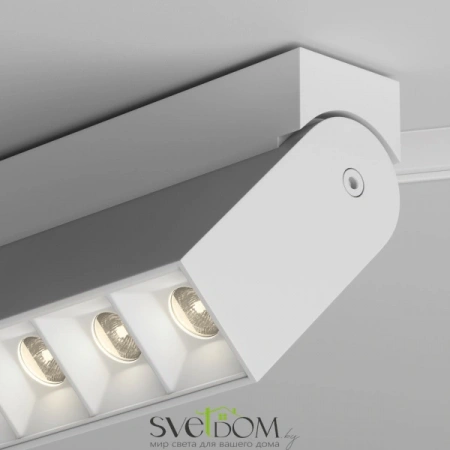 TR077-2-20W3K-W Maytoni