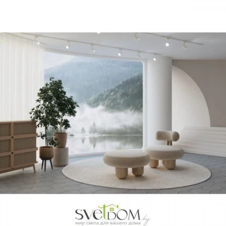 TR001-1-GU10-W Maytoni