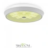 Фото Светильники Freya FR10012CL-L24W Светильники Freya FR10012CL-L24W от Магазина Svetdom.by