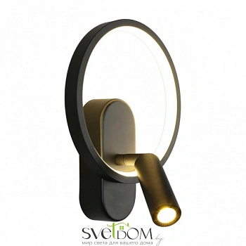 Светильник настенный (Бра) Aployt  APL.346.01.02