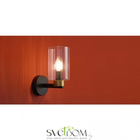 Настенные светильники FR2051WL-01BBS1 Freya | Svetdom.by