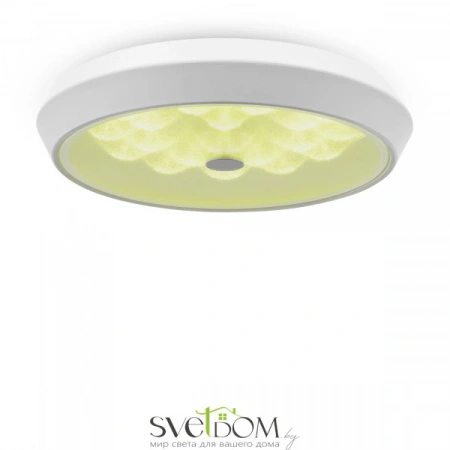Фото Светильники Freya FR10012CL-L24W Светильники Freya FR10012CL-L24W от Магазина Svetdom.by