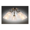 Люстра потолочная Omnilux  OML-53807-05 Omnilux