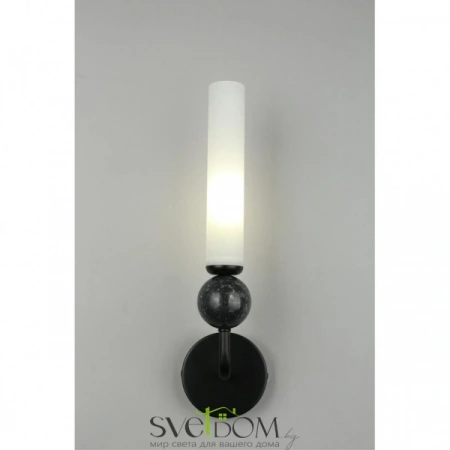 Настенные светильники APL.339.01.01 Aployt | Svetdom.by
