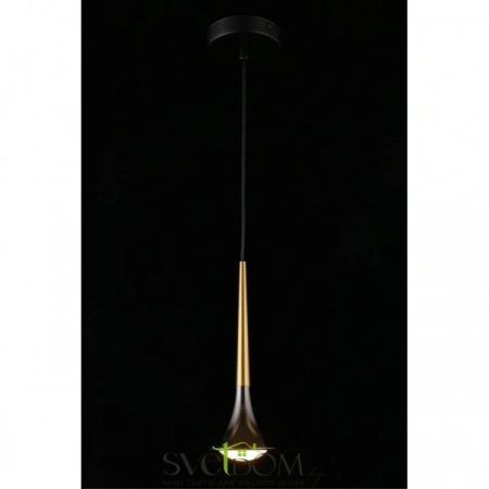 Подвесные светильники Aployt APL.784.06.01 от Магазина Svetdom.by