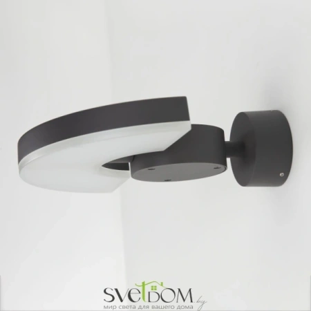 Citilux CLU03W LED Уличный настенный поворотный светильник Графит CITILUX
